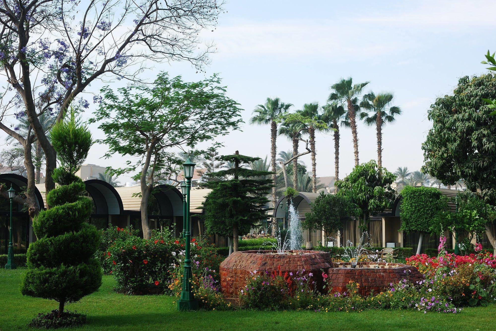 فندق القاهرةفي  فندق الواحة المظهر الخارجي الصورة